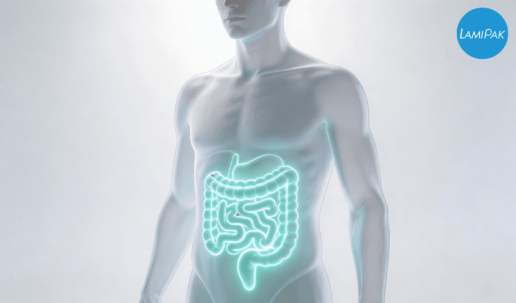 Lamipak: Enabling the Future of Gut Health Innovation Through Smart Packaging